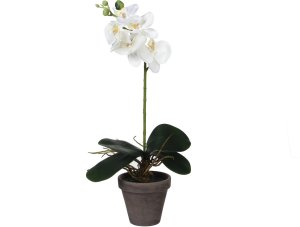 FLOWER ARTIFI IN POT ORCHID WHITE H48CM 1