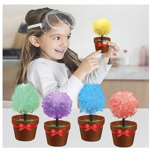Norimpex Zestaw Edukacyjny 6Szt Diy Eksperymenty Zabawa W Chemika Magiczne Kryształy 2