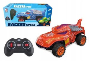 Auto zdalnie sterowane 8