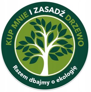 Żelazko parowe 3100 W PETRA, 200 g/min, 300 ml 4