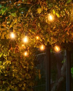 Sirius Home 69500, 10 lamp(s), LED, Outdoor, Black, Transparent, DC, 24 W 3