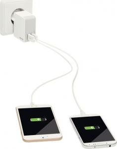 Ładowarka Leitz Complete 2x USB-A 2.4 A (65200001) 2