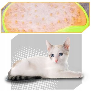 QIKtech Szczotka parowa dla kota zwierząt elektryczna do pielęgnacji sierści 10