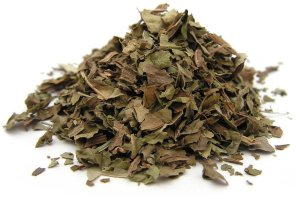 Babka szerokolistna liść suszone zioła bio na kaszel przeciwzapalnie na górne drogi oddechowe 50g 3