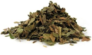 Runo orzech włoski liść 50g 3