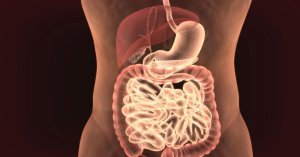 Akacja kwiat zioła napar moczopędny wspomagający trawienie 25g 4