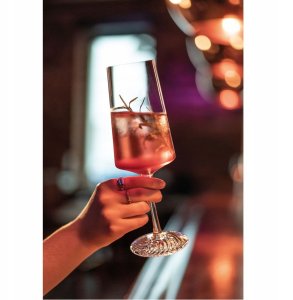 ECHO Champagne 395 ml (kpl. 4 szt) 5