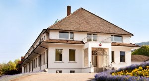 Etykiety Weck 100 szt 3