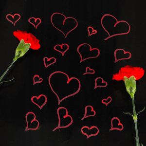 Markery akrylowe do tkanin kamieni pisaki flamastry mazaki wodoodporne DIY 12 szt. 17