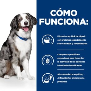 Sucha karma dla psa Hill's Prescription Diet i/d SensitiveDigestiveCare 4kg 4