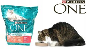 Karma sucha dla kota PURINA ONE SterilCat, wołowina 9,75 kg 2