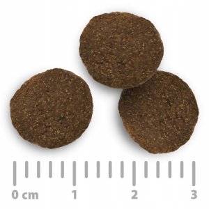 Sucha karma dla psa Purizon Adult, ryba, bez zbóż 12 kg 2