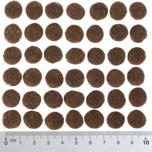 Karma Purizon Single Meat Adult, konina z batatami i kwiatami nagietka 12kg 3