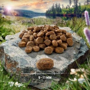 Sucha karma Purizon Adult dla kota, kaczka i ryba 6,5 kg 5