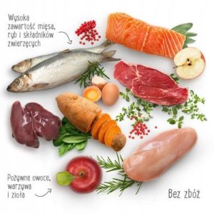 Sucha karma Purizon Adult dla kota, kaczka i ryba 6,5 kg 6