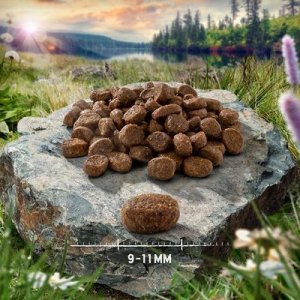 Sucha karma Purizon Adult dla kota, dziczyzna i ryba 6,5 kg 2