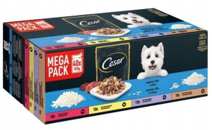Mokra karma dla psa Cesar saszetki w galaretce Senior 10+ 80x100g 1