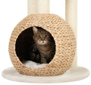 Drapak wysoki, legowisko, słupek do drapania Laguna 83 x 74 x160 cm 3