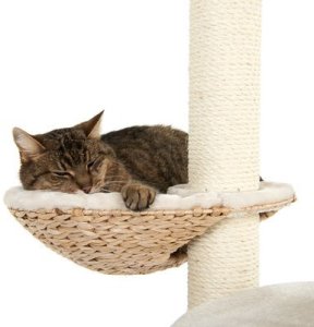 Drapak wysoki, legowisko, słupek do drapania Laguna 83 x 74 x160 cm 8