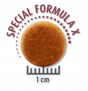 Sucha Karma Dla Kota Concept For Life Maine Coon Kurczak 10 kg 2