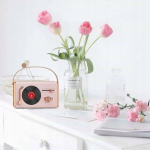 GŁOŚNIK BLUETOOTH BEZPRZEWODOWY PRZENOŚNY MOBILNY MAŁY W STYLU RETRO 3