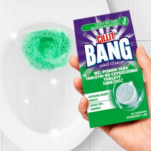 TABLETKI DO CZYSZCZENIA TOALETY CILLIT BANG A6 SOSNOWY LAS 5