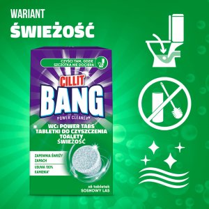 TABLETKI DO CZYSZCZENIA TOALETY CILLIT BANG A6 SOSNOWY LAS 10