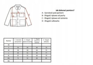 Kurtka męska Carhartt Kurtka Montana Rugged Flex Duck Black 3