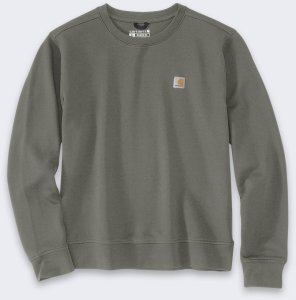 Bluza Carhartt French Terry Dusty Olive 1