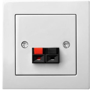 SPEAKER CONNECTION OUTLET ĮGL-001-01 1