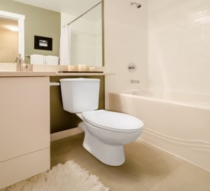 STAND WC RIMLESS PO221-P 2