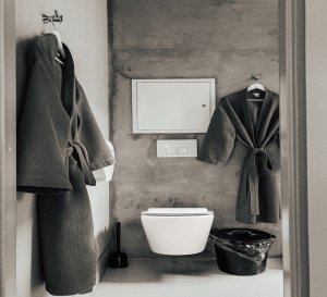 WALL HUNG DOMOLETTI WH8001 RIMLESS 2