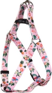 HARNESS STEP&GO SERAXS 30-40CM 1