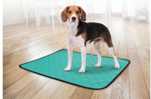 REUSABLE ABSORB PADS GREEN 69X41.5CM 2