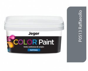PAINT JEGER COLOR 1L GREY 1