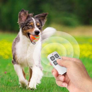 PIŁKA dla PSA LED USB Pilot Interaktywna RUCHOMA 15