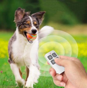 PIŁKA dla PSA LED USB Pilot Interaktywna RUCHOMA 2