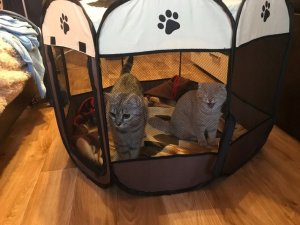 KOJEC LEGOWISKO KENNEL DLA PSA KOTA 112cm roz. XL 7