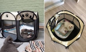 ITIMPORT KOJEC LEGOWISKO KENNEL DLA PSA KOTA 91cm rozmiar L 8