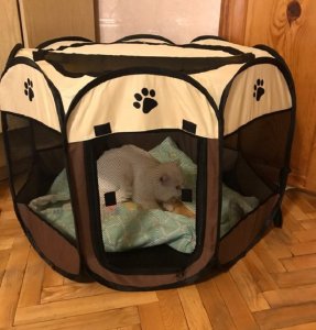 ITIMPORT KOJEC LEGOWISKO KENNEL DLA PSA KOTA 91cm rozmiar L 10