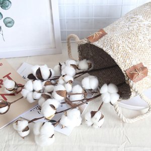 ITIMPORT Roślina BAWEŁNA Gałązka PIĘKNA OZDOBA 1szt RESTAURACJA SALON 53cm 11