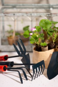 Iittala GARDEN TOOL SET 4PC 3