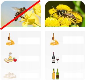NO PEST ...NoBzzz PUŁAPKA NA OSY MUCHY 2 sztuki WIELORAZOWA 8