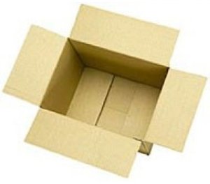 Packing Box 700 x 600 x 130mm 1