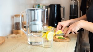 Wessper Dzbanek Filtrujący D1 SOLID +3 Filtry (WES203-GR-3PROMO) 7