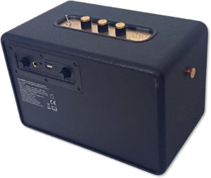 Przenośny głośnik RETRO 30W +10W - Radio FM, BT 16