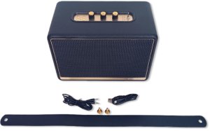 Przenośny głośnik RETRO 30W +10W - Radio FM, BT 10
