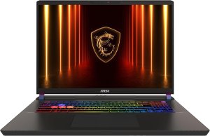 Vector 17 HX AI A2XWJG-089XPL / 64 GB RAM / 1 TB SSD PCIe 1