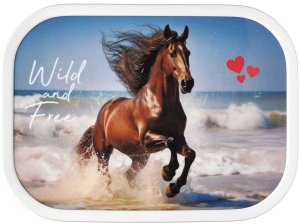 LUNCHBOX CAMPUS WILD HORSE 107440065401 2