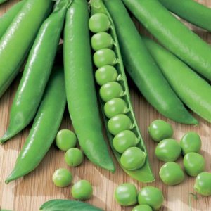 PLATINET NASIONA GROCH SIEWNY CUD KELVEDONU PEA SEEDS 40 G 2